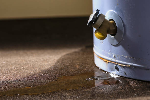 Best 24-hour water damage restoration  in Dundee, NY