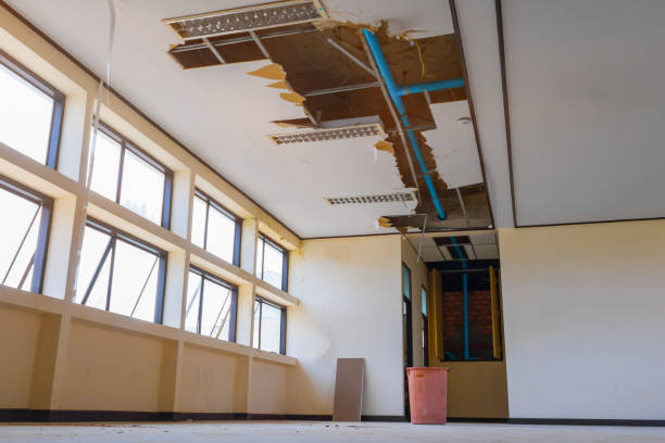 Best Carpet water damage restoration  in Dundee, NY