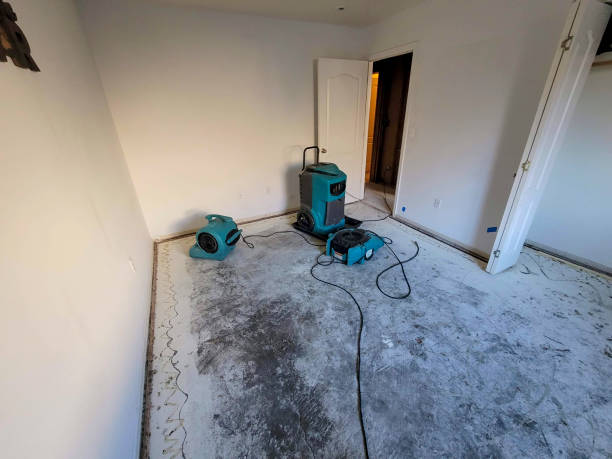 Best Flooded house restoration  in Dundee, NY