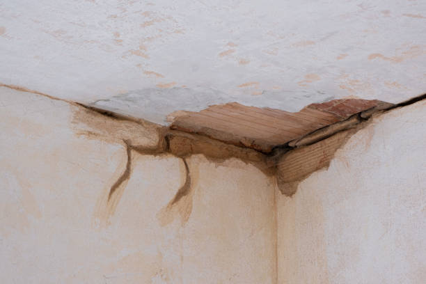 Best Commercial water damage restoration  in Dundee, NY