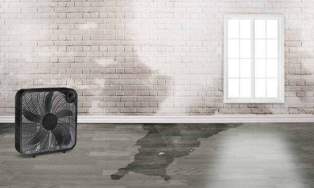 Best Residential water damage restoration  in Dundee, NY