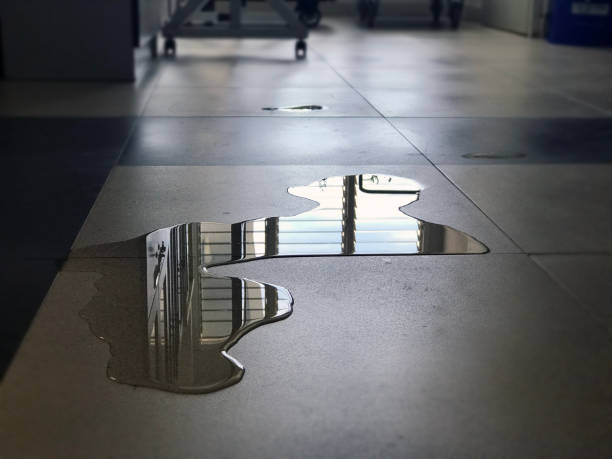 Best Emergency water damage restoration  in Dundee, NY