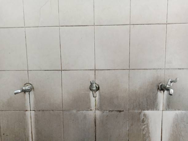 Best Ceiling water damage repair  in Dundee, NY