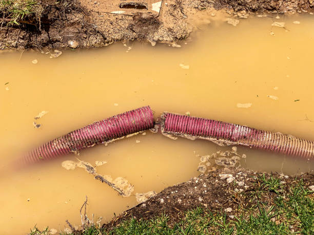 Best Water damage repair service  in Dundee, NY