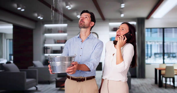 Best Water damage cleanup near me  in Dundee, NY