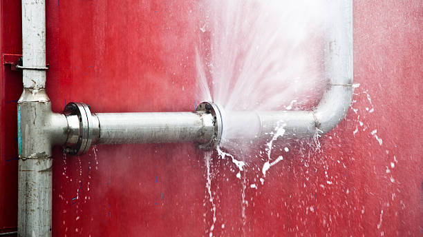 Best Mold removal after water damage  in Dundee, NY