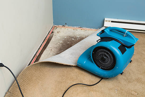 Trusted NY Water damage restoration Experts