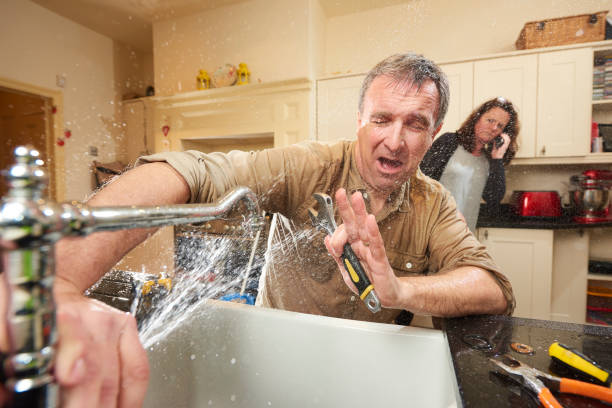 Best Water damage restoration near me  in Dundee, NY